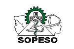 SOPESO | Sociedad Peruana De Salud Ocupacional